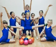 школа танцев шоу-проекта виктория в проезде решетникова изображение 1 на проекте lovefit.ru