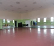 спортивный центр свердловский областной педагогический колледж изображение 2 на проекте lovefit.ru