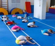 академия гимнастики секция детской спортивной гимнастики на улице ленина изображение 5 на проекте lovefit.ru