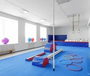 академия гимнастики секция детской спортивной гимнастики изображение 8 на проекте lovefit.ru