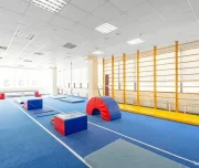 академия гимнастики секция детской спортивной гимнастики изображение 3 на проекте lovefit.ru